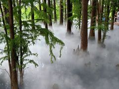 -东湖落雁景区