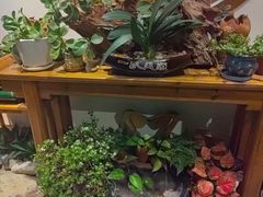 -茶油香·闽南菜(前埔店)