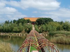 -摩天岭风景区