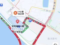 -演武大桥观景平台