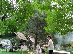 -尚庄度假村·庭台树下·户外烧烤·团建CS·轰趴营地(上庄水库店)