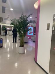 -丰联丽格医疗美容·联合丽格眼整形中心