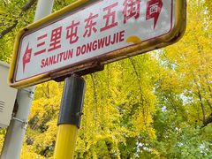 -三里屯东五街银杏大道
