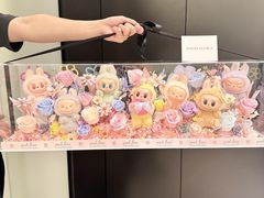 -泡泡玛特POPMART(合生汇店)