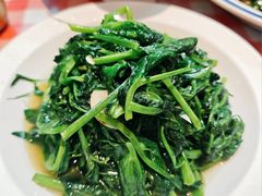 豌豆尖-酒阳蒸经·江湖川菜