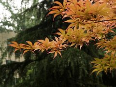 -陕西师范大学(雁塔校区)