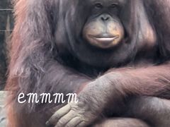 -杭州野生动物世界
