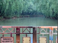 -大湾区中央湿地公园