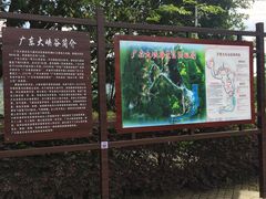 -广东大峡谷