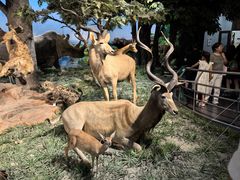 -国家自然博物馆