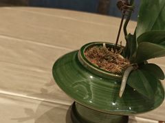 -聚福宝合苑食府(南头镇店)