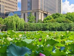 -黄兴公园