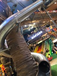 -卡通尼·Safari非洲探索乐园·生日会(金桥国际商业广场店)