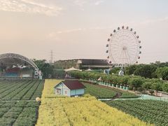 -广州花之恋城堡酒店