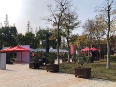 -上海长兴岛郊野公园