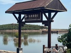 -南大港湿地风景区