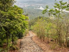 -风云岭森林公园