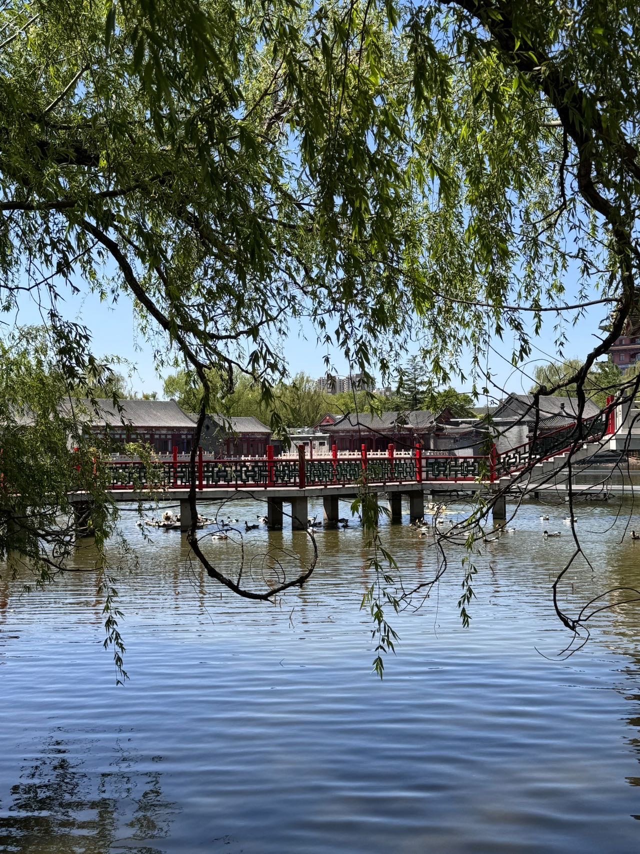 大明幻境第一城