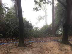 -火炉山森林公园