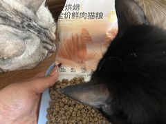 -眷茶臻选(中原万达店)