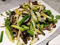 牛百叶捞黄鳝柳-粤·向群饭店(龙津东路总店)
