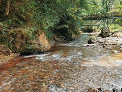 -龙苍沟森林公园