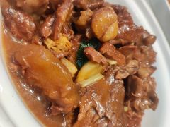 支竹炖牛筋腩煲-老广酒楼(樱花店)