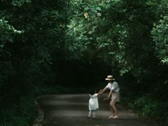 -武陵山森林公园