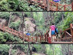 -大岭沟猕猴桃谷风景区