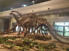 -自贡恐龙博物馆