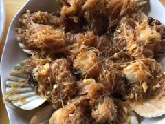 扇贝-Golden Prawn 933