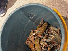 -虾胡闹龙虾馆(湄南河店)