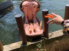 -常州淹城野生动物世界