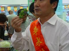 -上海都市菜园