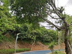 -长乐南山公园