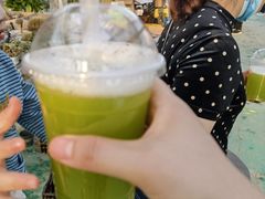 -菊园百果园