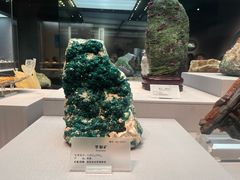 -湖南省地质博物馆