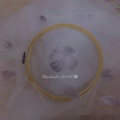 -沐曦摄影工作室