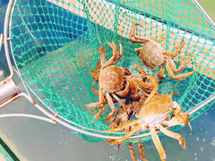-丫丫蟹庄·蟹宴阁农家乐(阳澄湖莲花岛店)