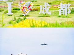-空港花田景区