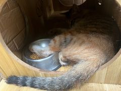 -京西宠物诊所(昆明店)