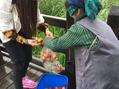 卖李子的老奶奶-泸沽湖国家级风景名胜区走婚桥