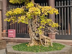 -成都武侯祠博物馆