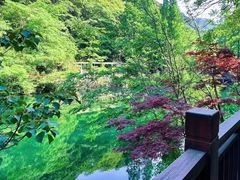 -宁海森林温泉