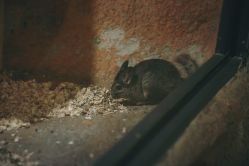 -酷嗒动物文化乐园(cutezoo西溪乐天城店)