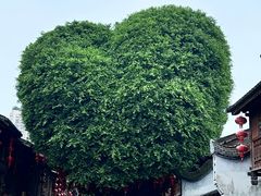 -福道