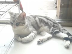 -平行世界·猫咖(首经贸店)
