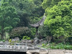 -广州市帽峰山景区