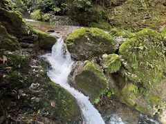-青城山