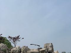 -盛世南宫影视城(北普陀影视城)